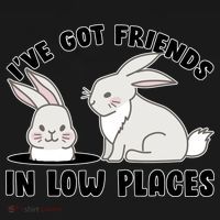 I've Got Friends In Low Places Toddler Hoodie thumb 2