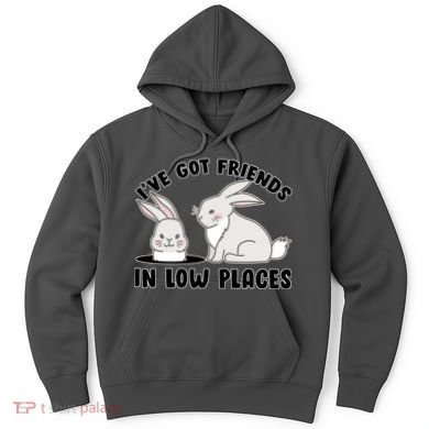 I've Got Friends In Low Places Hoodie