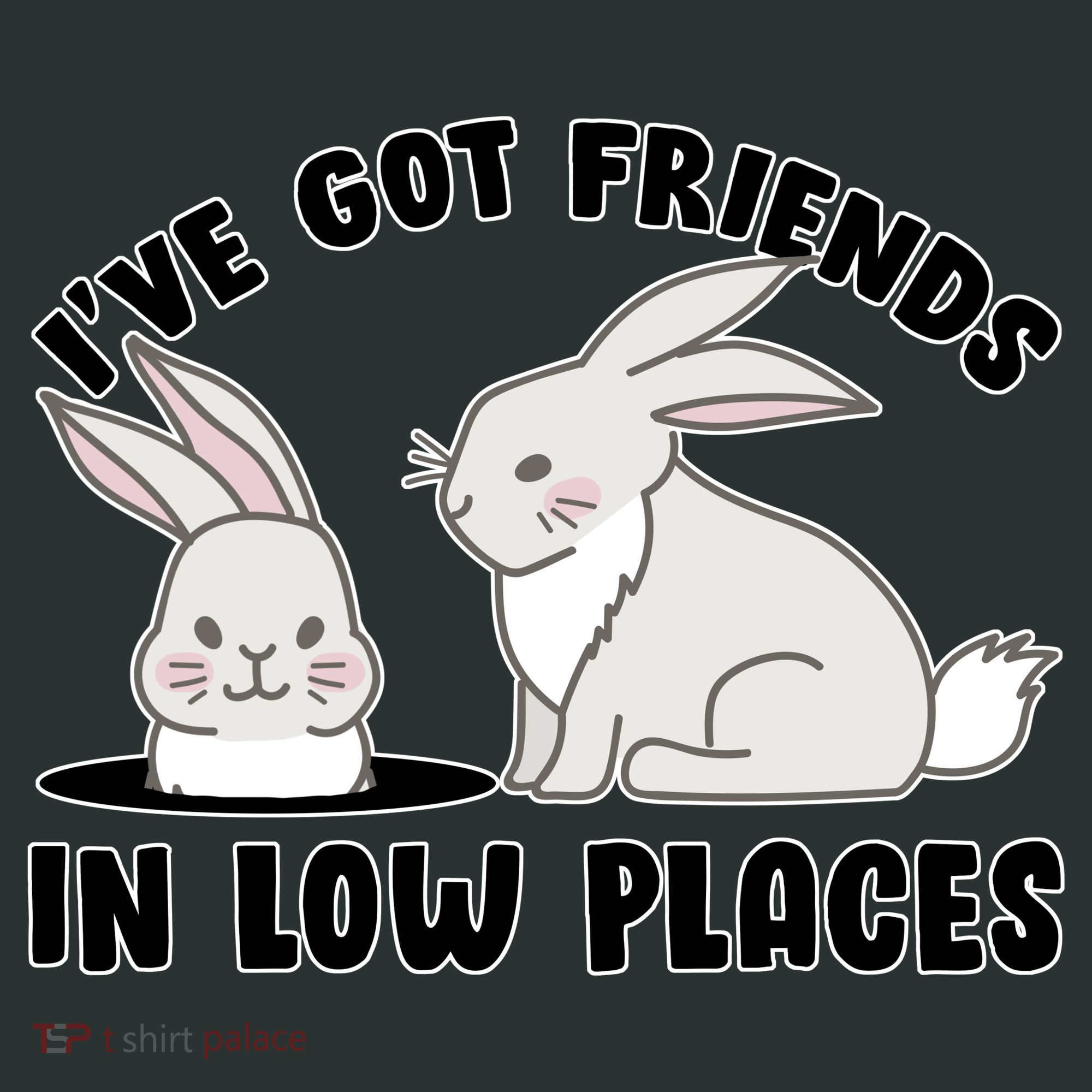 I've Got Friends In Low Places Women's Long Sleeve Shirt