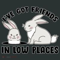 I've Got Friends In Low Places Women's T-Shirt thumb 6