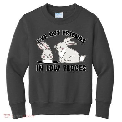 I've Got Friends In Low Places Kids Sweatshirt