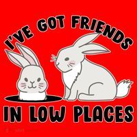I've Got Friends In Low Places Santa Hat thumb 1