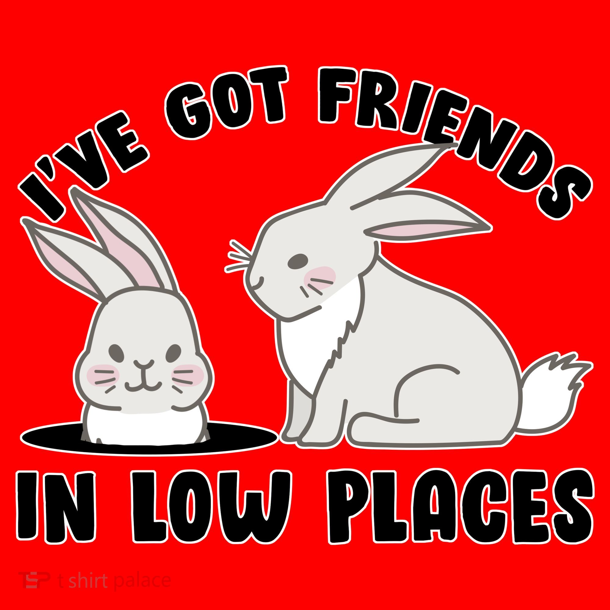 I've Got Friends In Low Places Santa Hat