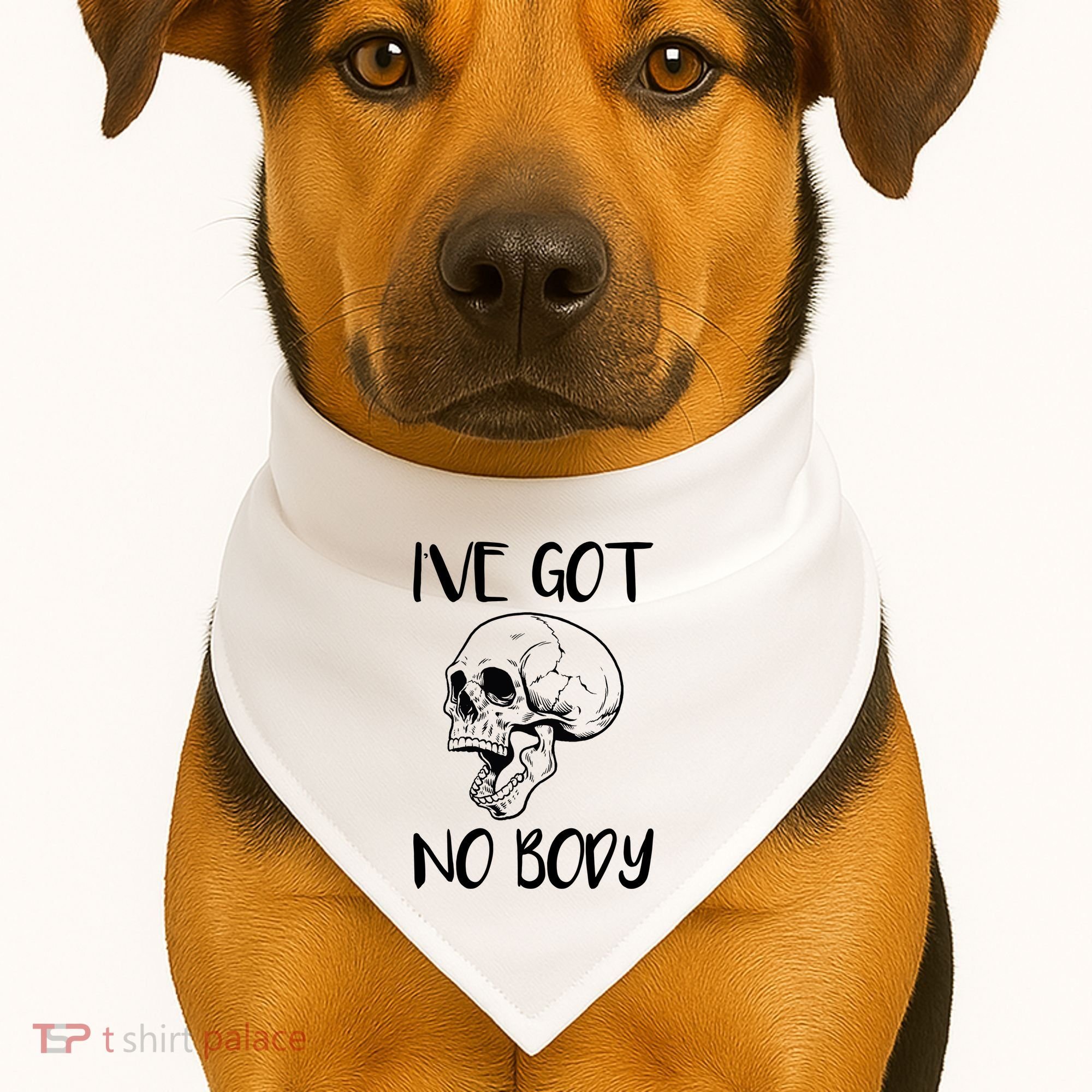 I've Got No Body USA-Made Doggie Bandana