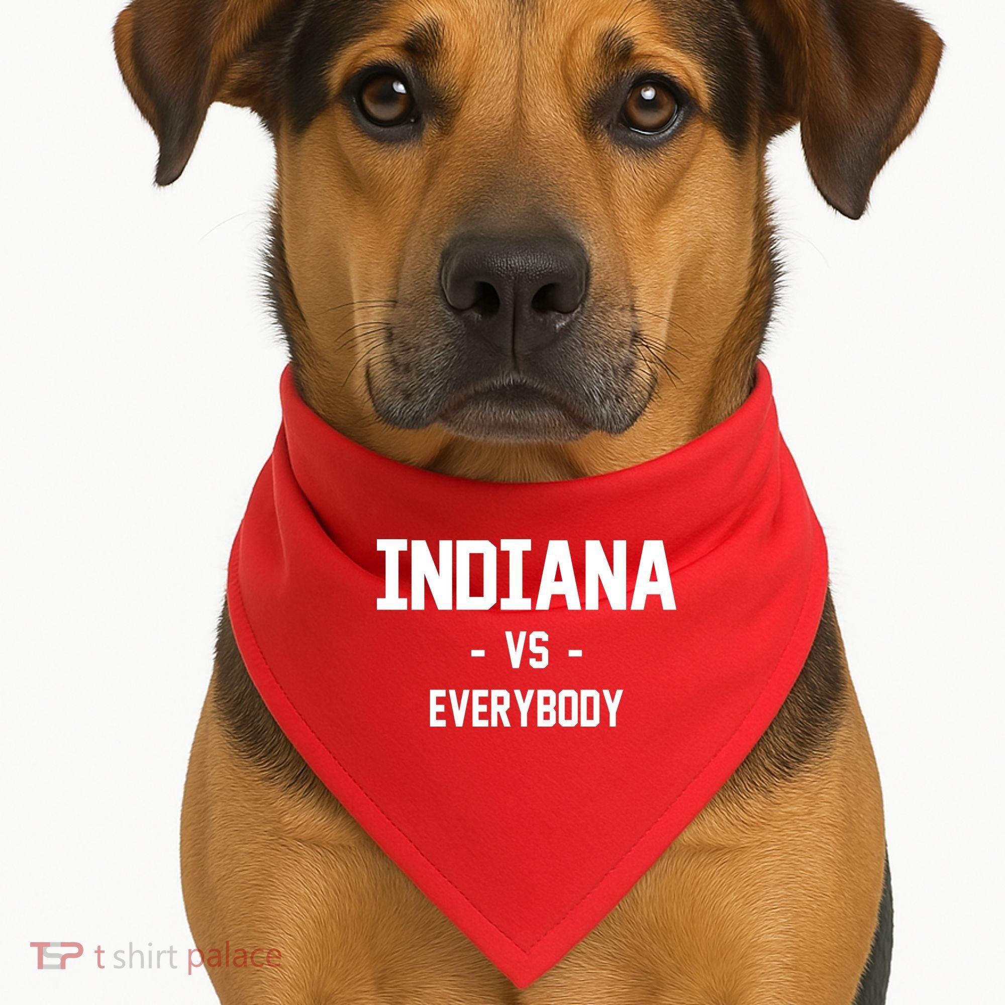 Indiana Vs Everybody USA-Made Doggie Bandana