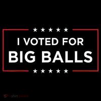 I Voted For Big Balls Doge D.O.G.E Funny Women's Hoodie thumb 2