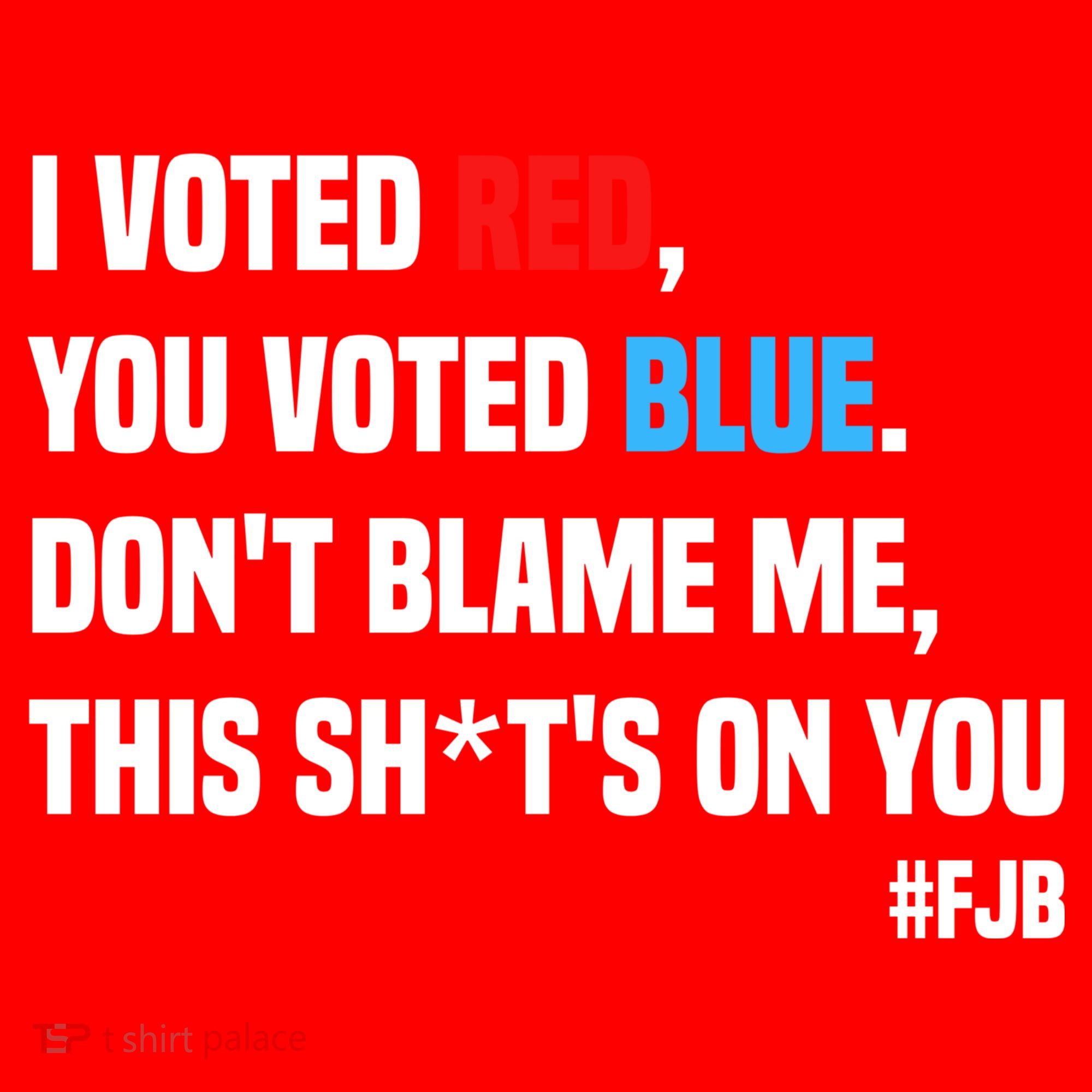 I Voted Red You Voted Blue Don't Blame Me Santa Hat