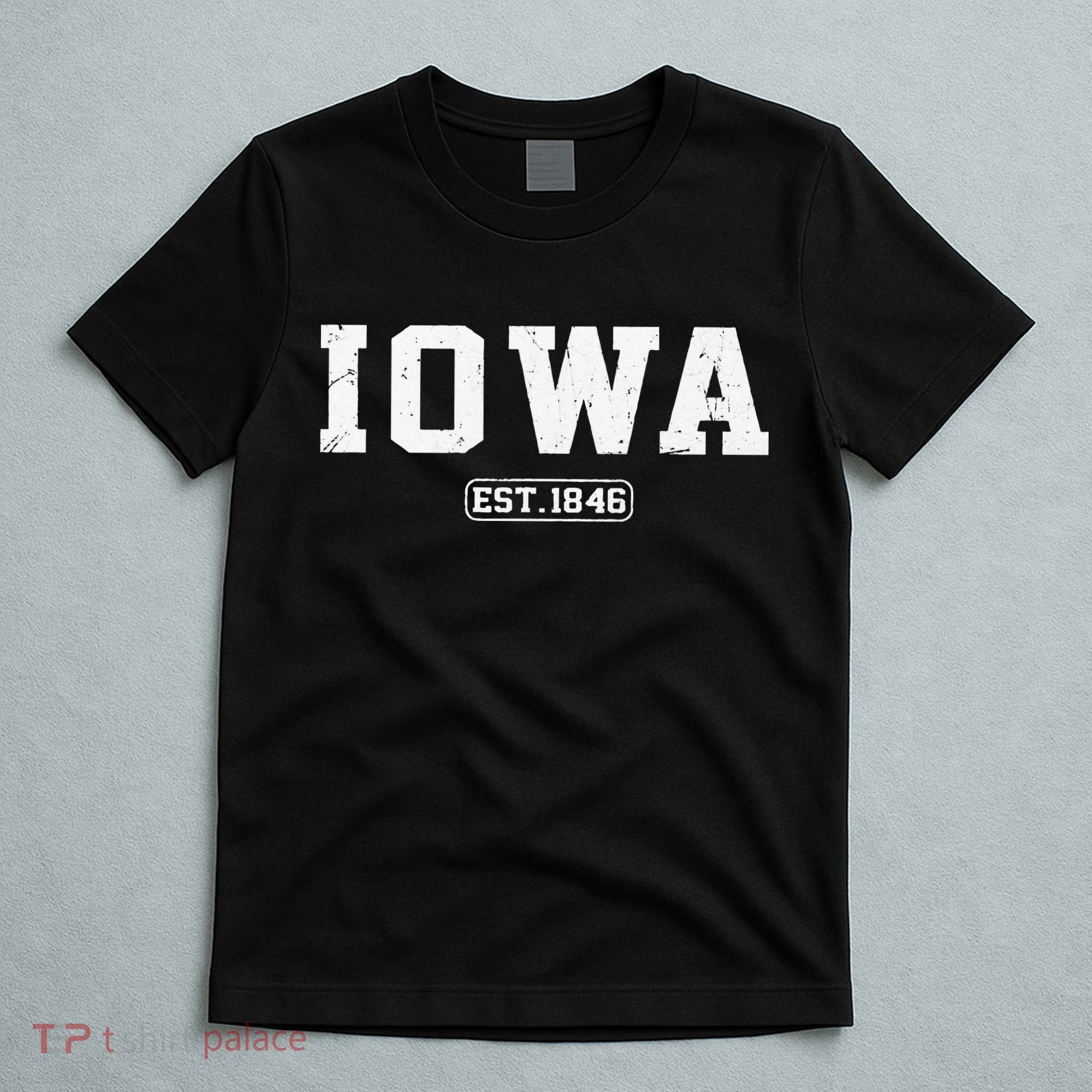 Iowa Vintage State Athletic Style T-Shirt