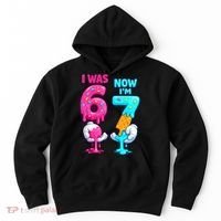 I Was 6 Now I'm 7 Year Old Birthday Six Seven Meme 67 Hoodie thumb 0