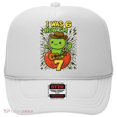 I Was 6, Now I'm 7 Years Old 6-7 Meme 7th Birthday Hat