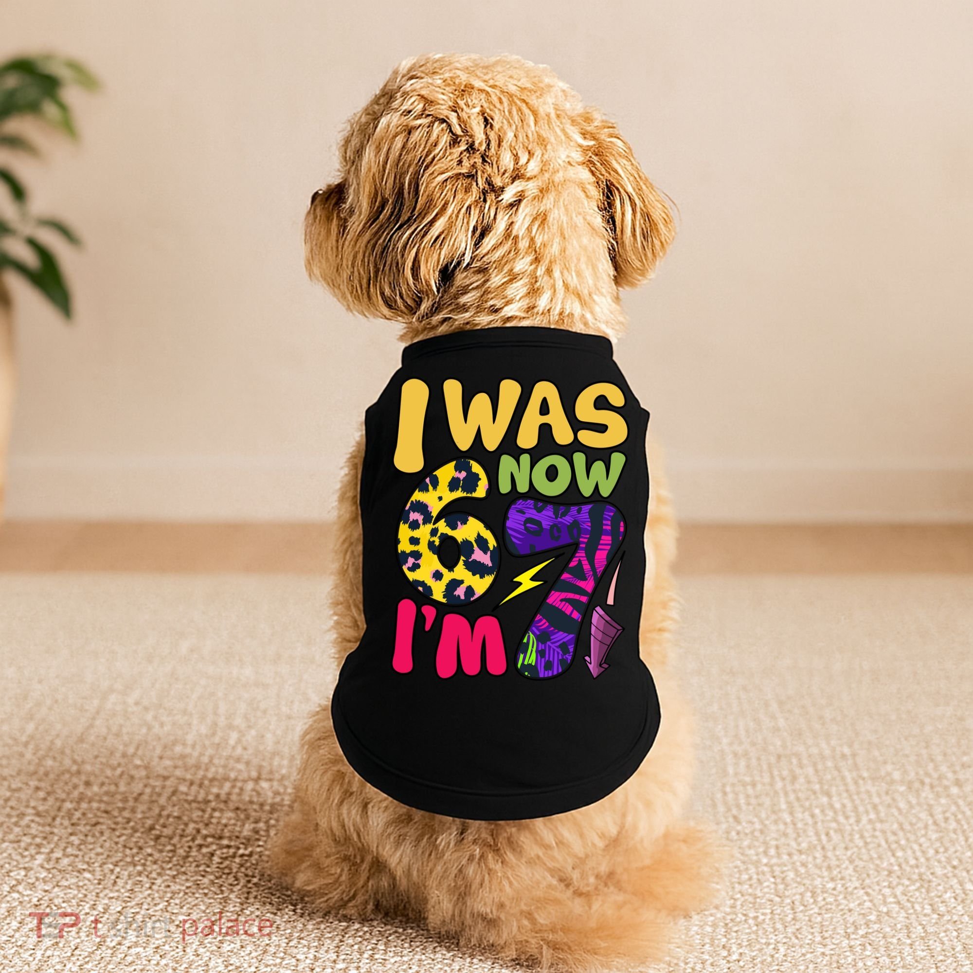 I Was 6 Now I'm 7 Funny 67 Meme 7th Birthday Doggie Tank