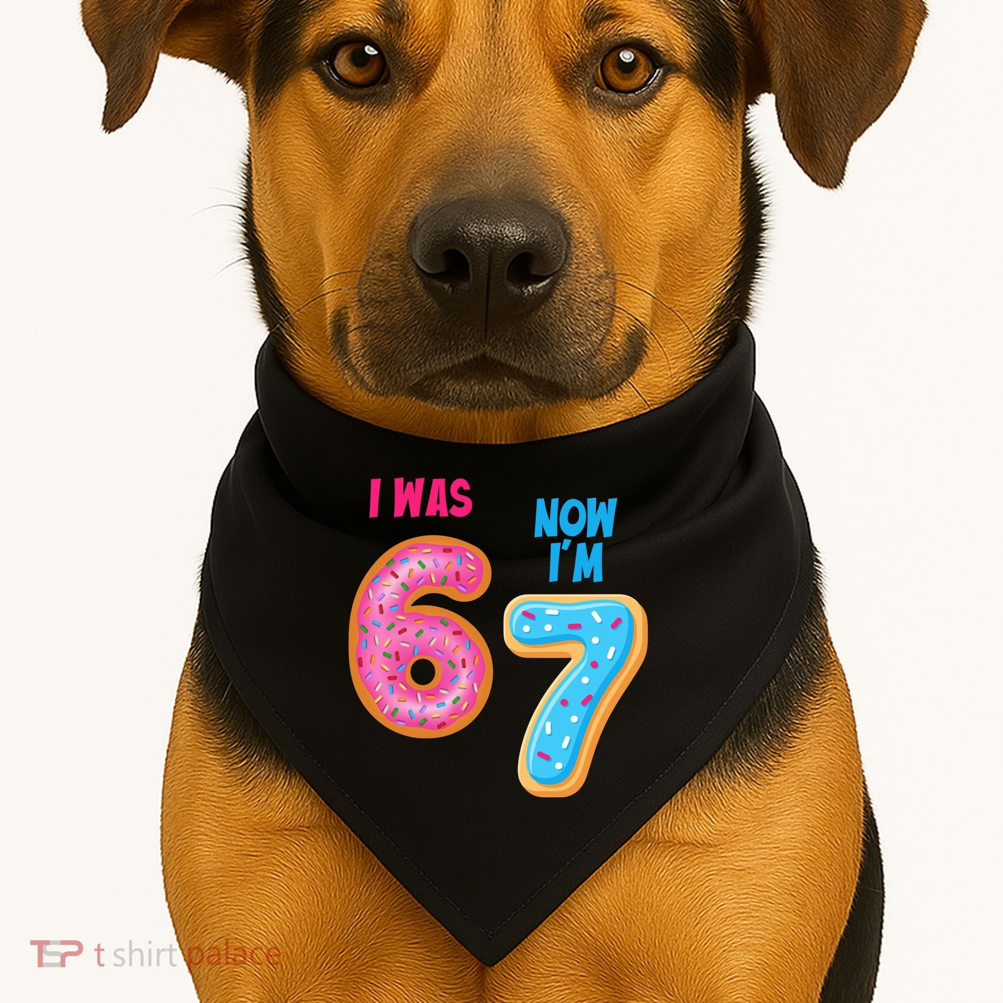 I Was 6 Now I'm 7 Year Old Birthday Six Seven Meme 67 USA-Made Doggie Bandana