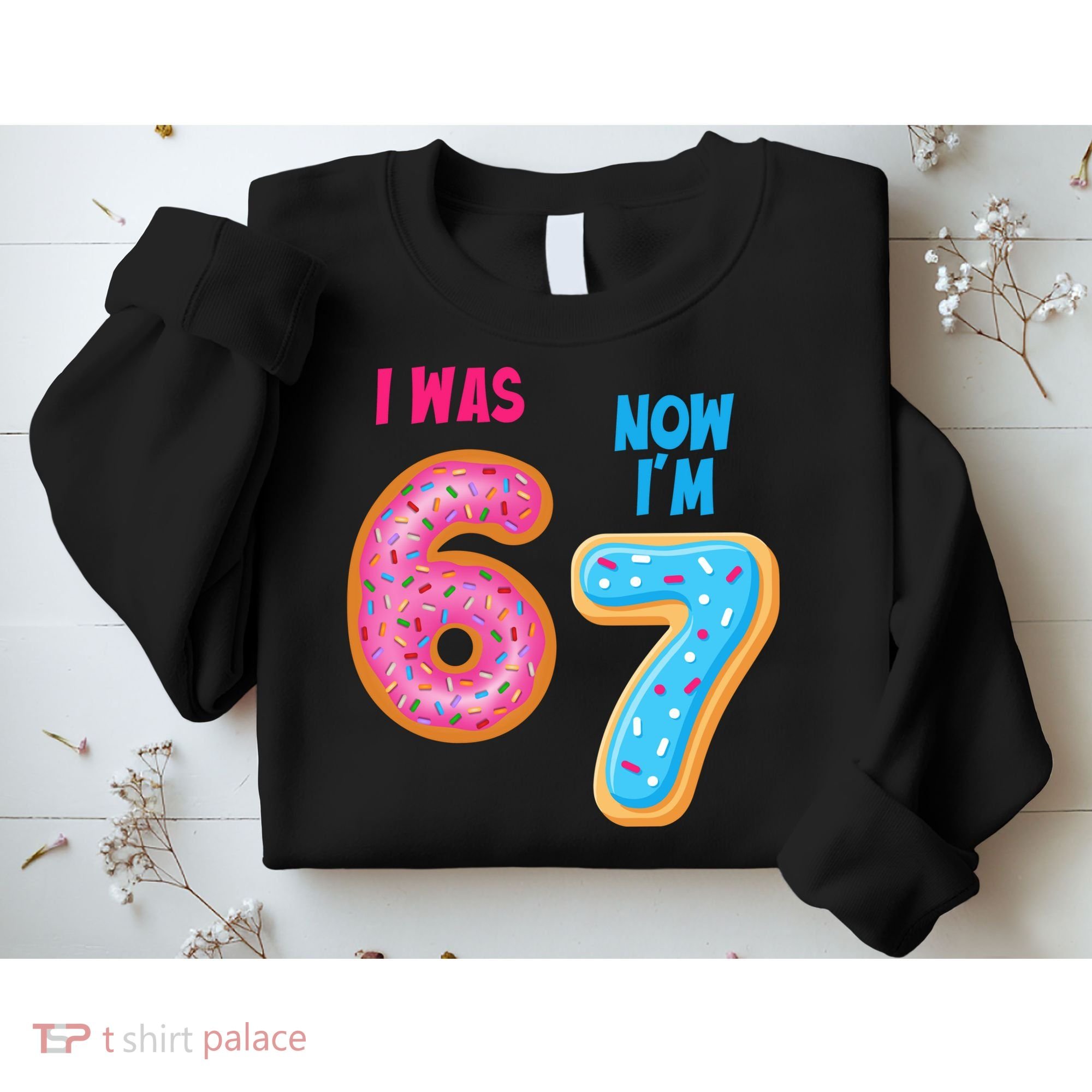 I Was 6 Now I'm 7 Year Old Birthday Six Seven Meme 67 Sweatshirt