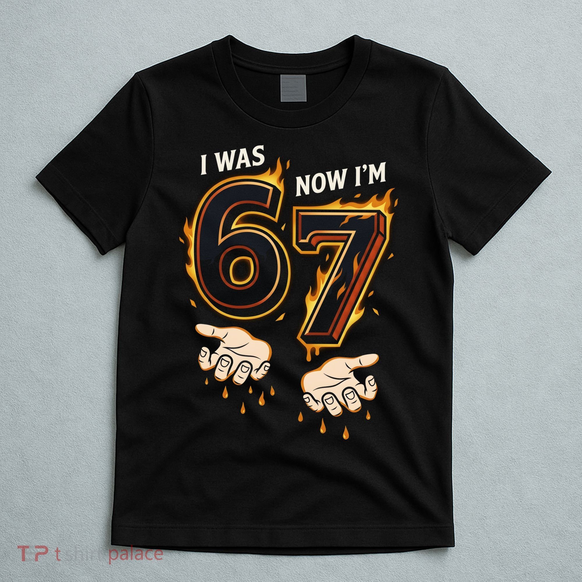 I Was 6 Now I'm 7 Meme Six Seven 67 Cartoon Hands Funny T-Shirt