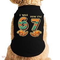 I Was 6 Now I’m 7th Birthday 67 Meme 6-7 Doggie Tank thumb 0