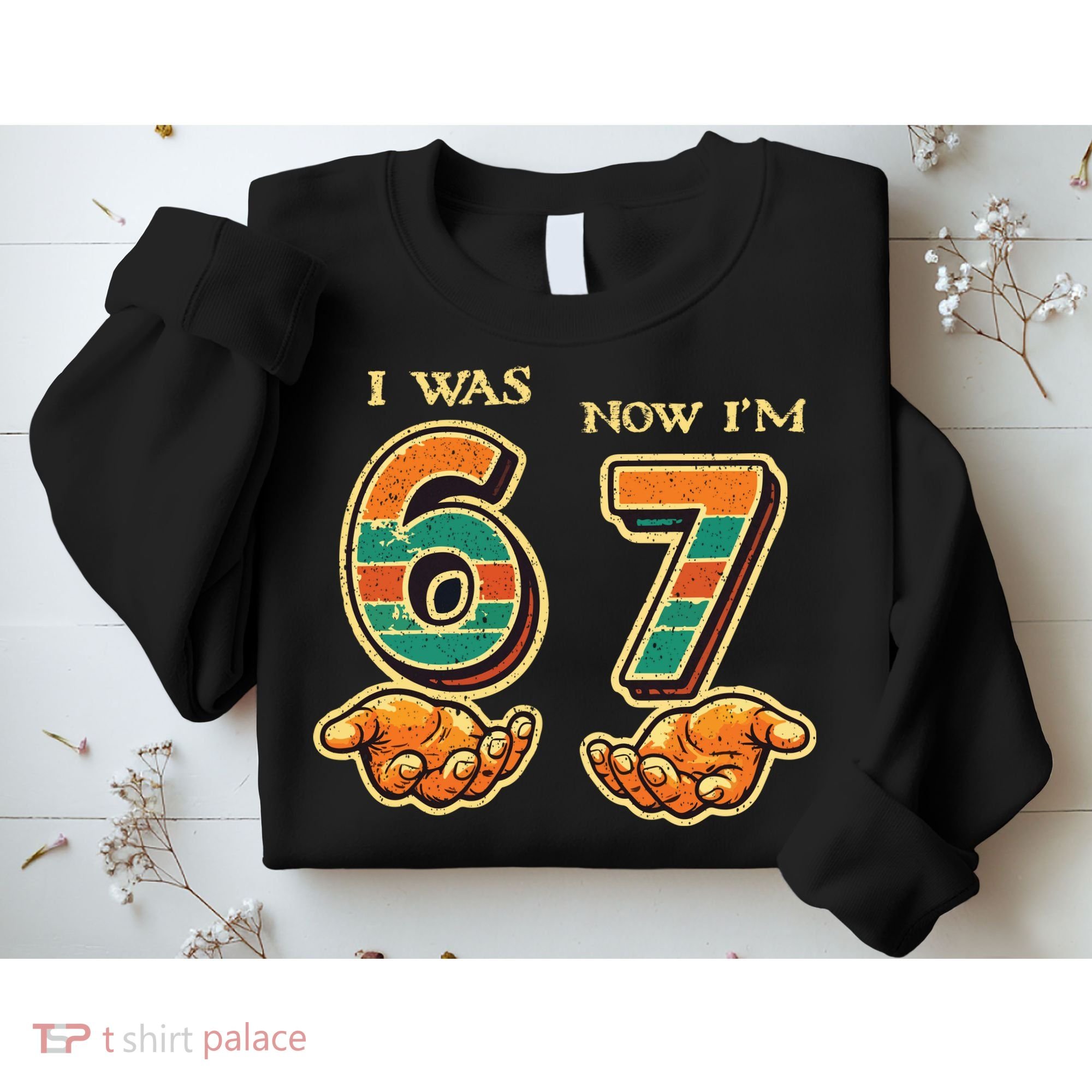 I Was 6 Now I’m 7th Birthday 67 Meme 6-7 Sweatshirt