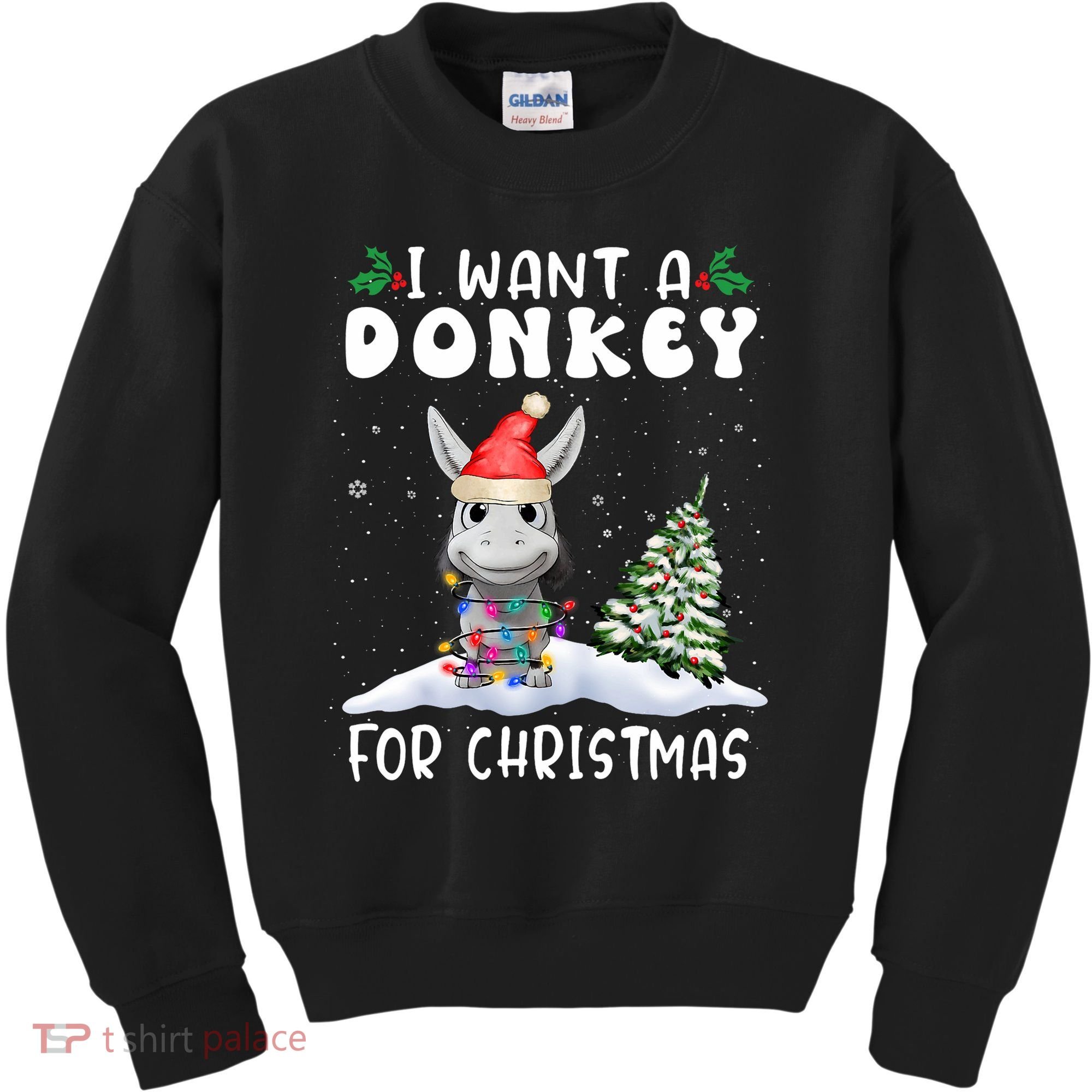 I Want A Donkey For Christmas Santa Hat Funny Xmas Kids Sweatshirt