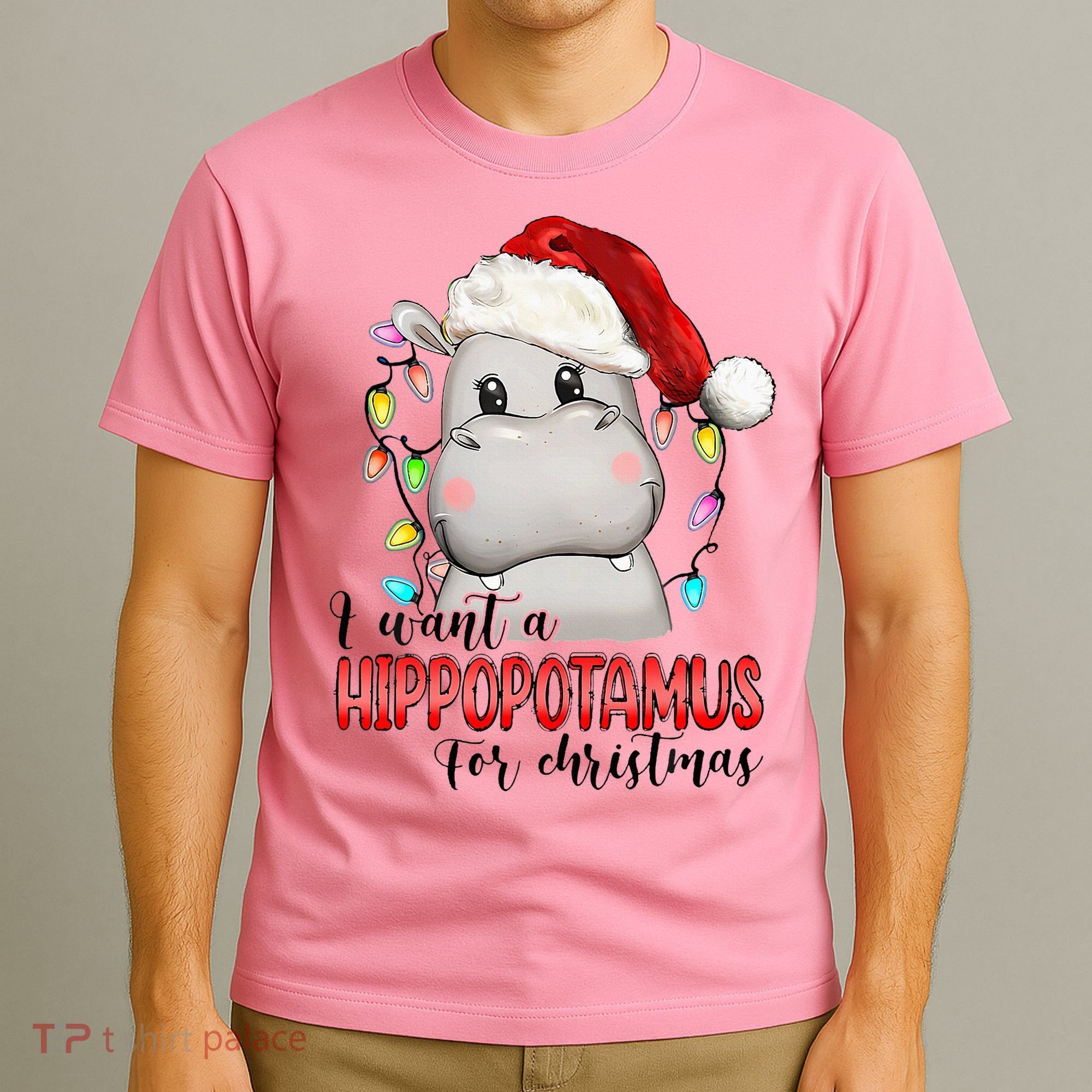 I Want A Hippopotamus For Christmas Xmas T-Shirt