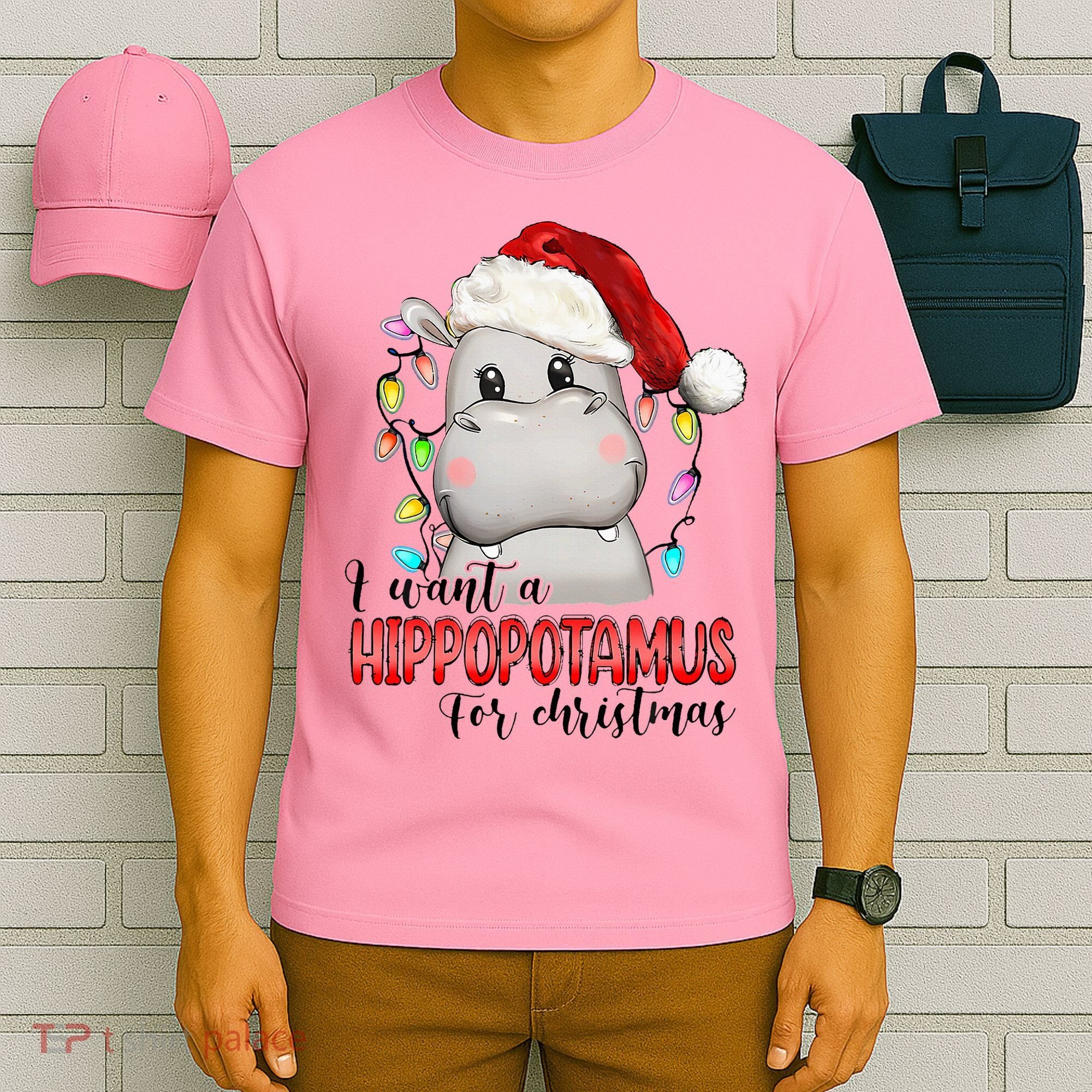 I Want A Hippopotamus For Christmas Xmas T-Shirt