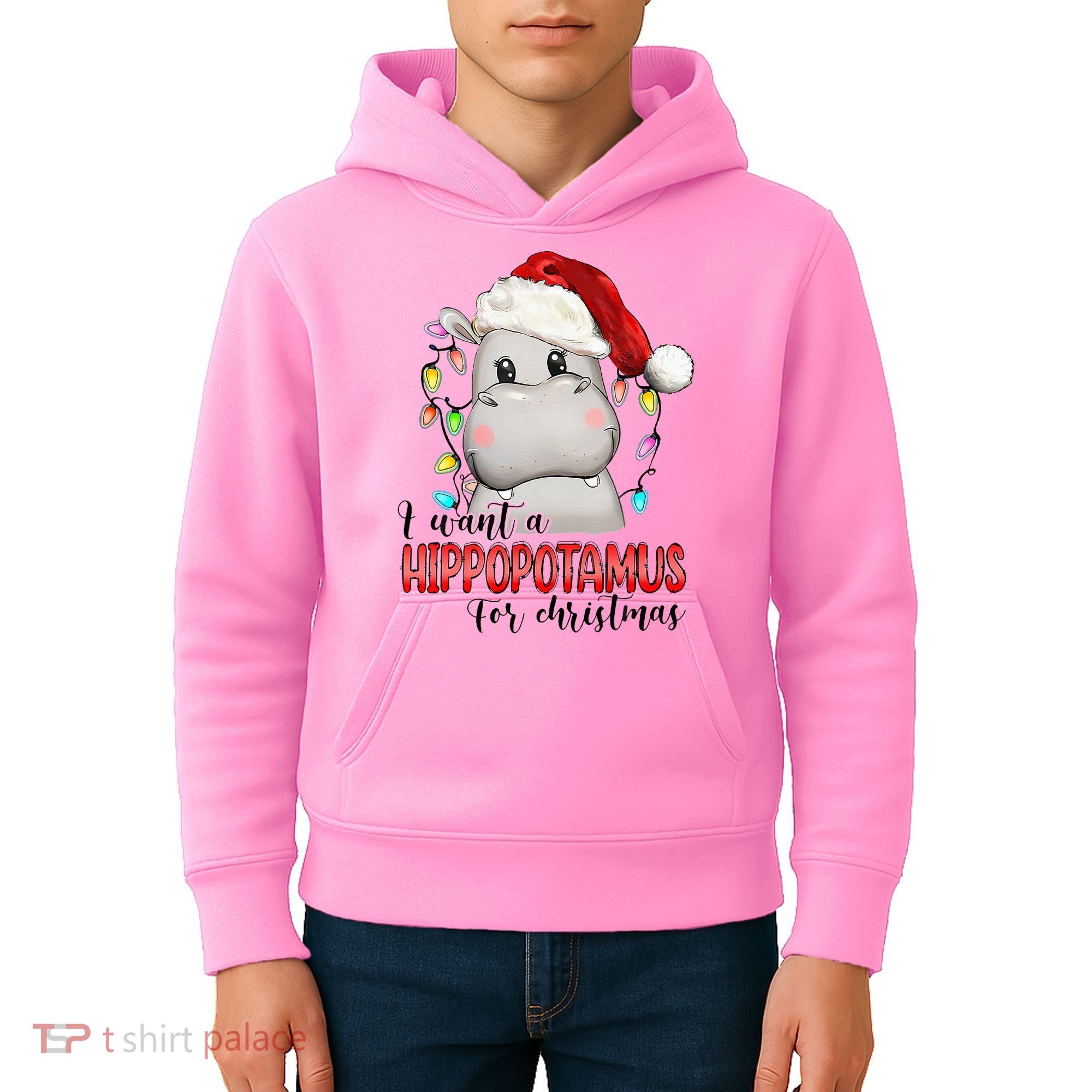 I Want A Hippopotamus For Christmas Xmas Kids Hoodie
