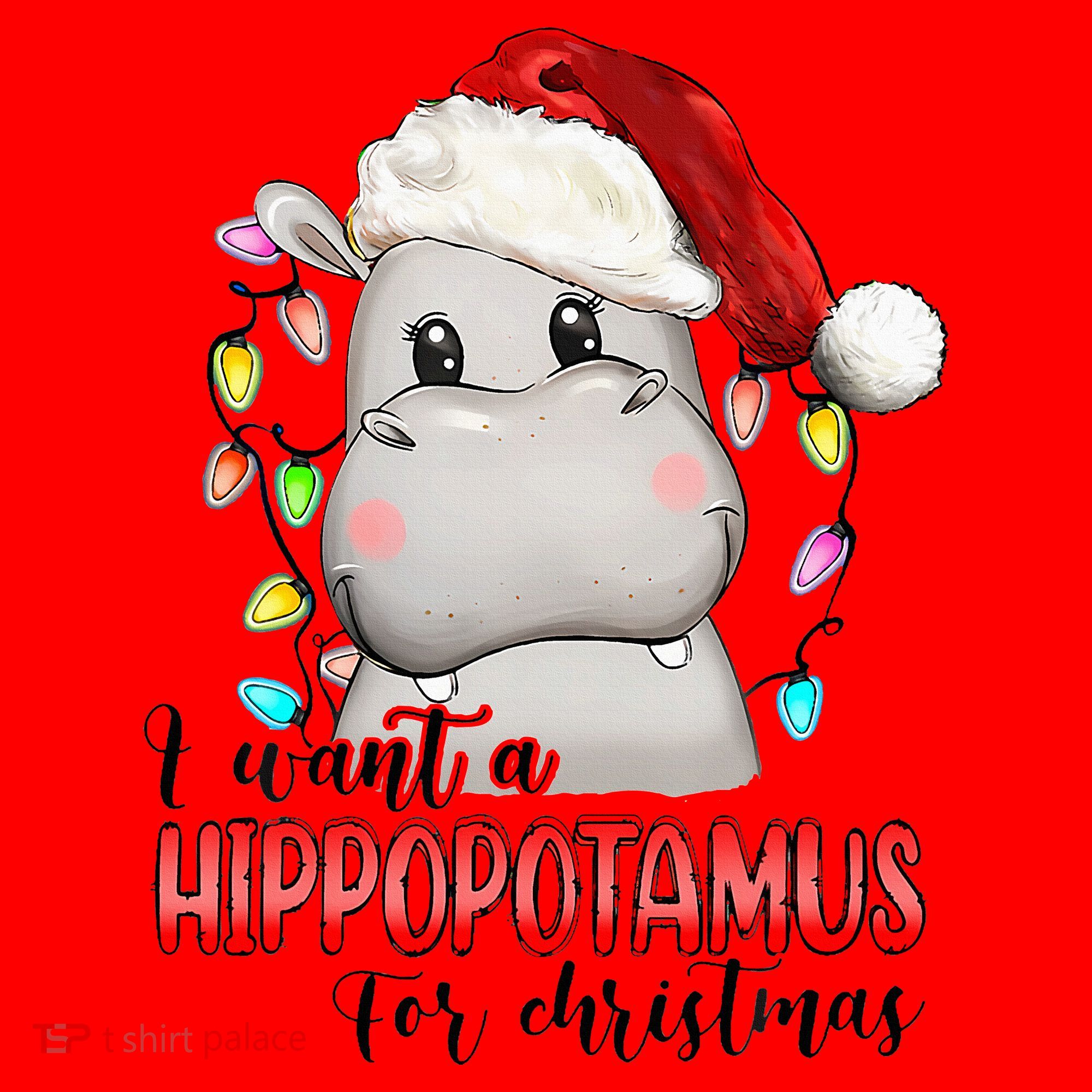 I Want A Hippopotamus For Christmas Xmas Santa Hat