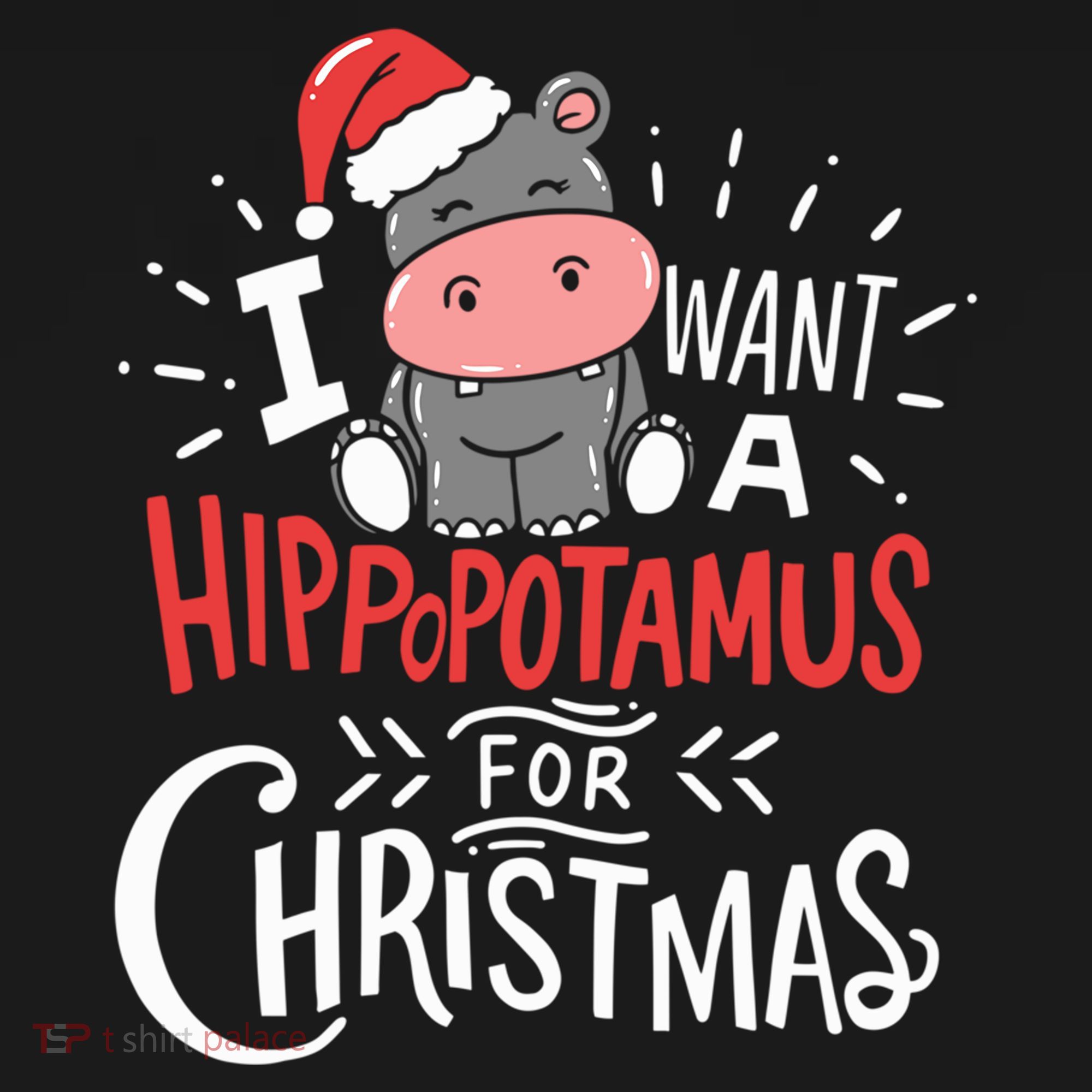 I Want A Hippopotamus For Christmas Xmas Hippo Gift Women's Hoodie