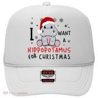 I Want A Hippopotamus For Christmas Hat thumb 0