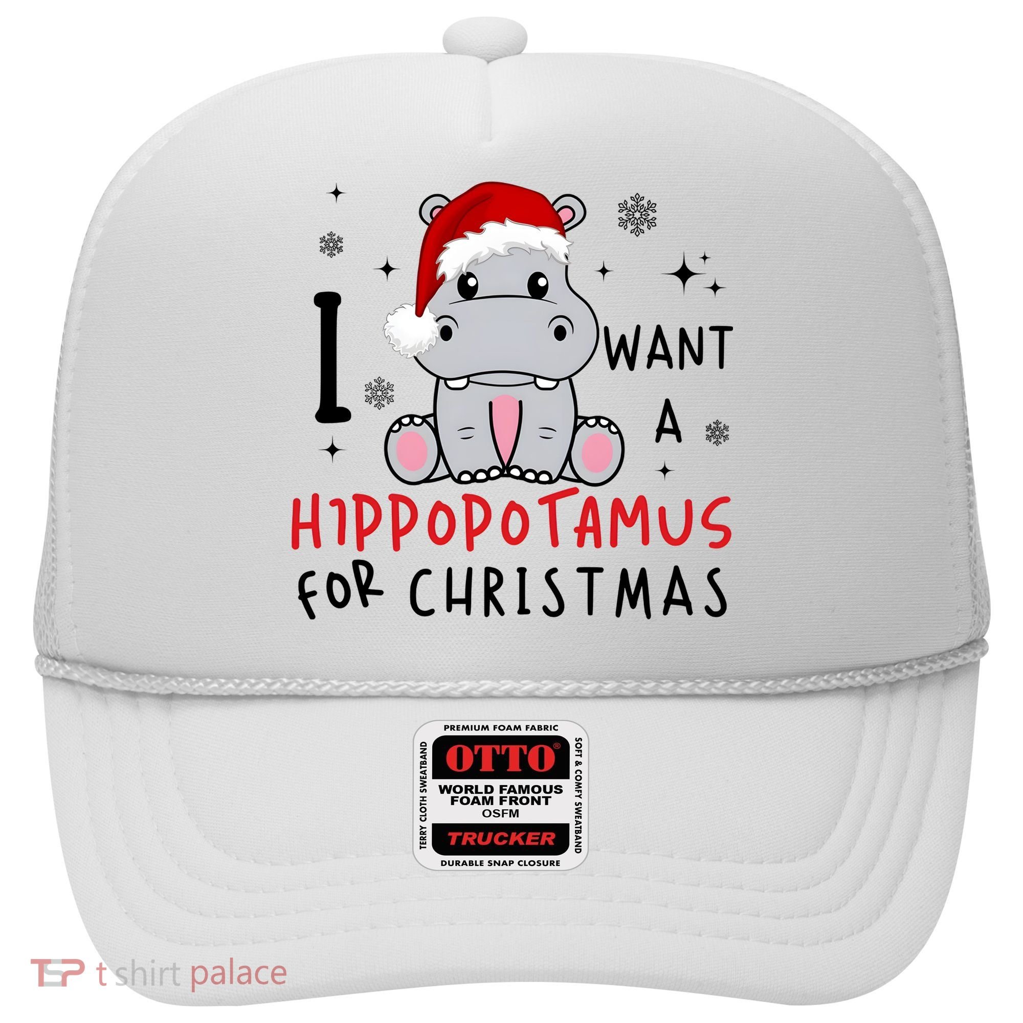 I Want A Hippopotamus For Christmas Hat