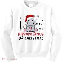 I Want A Hippopotamus For Christmas Kids Sweatshirt thumb 0
