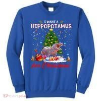 I Want A Hippopotamus For Christmas Xmas Hippo For Gift Sweatshirt thumb 0