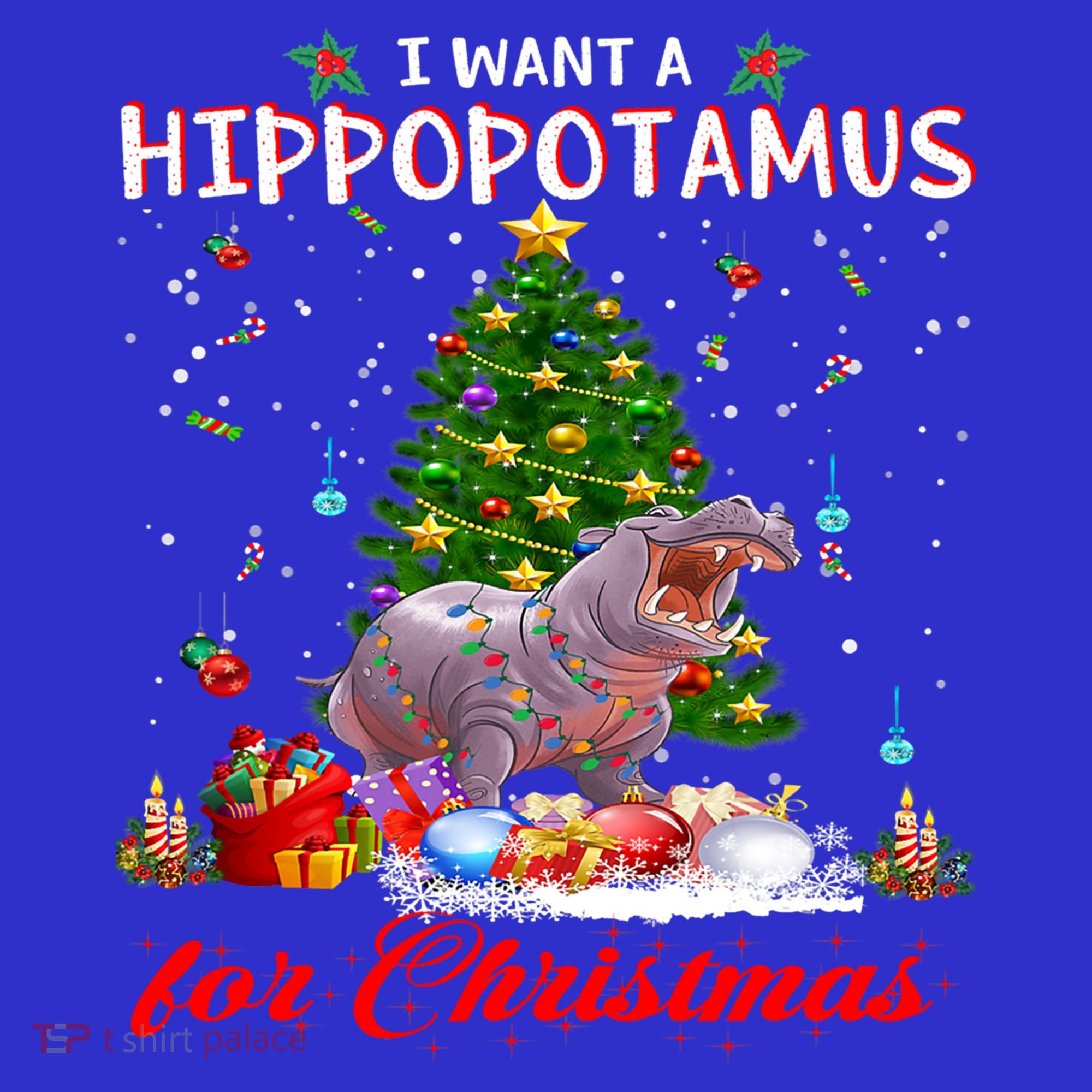 I Want A Hippopotamus For Christmas Xmas Hippo For Gift Women's Tank Top