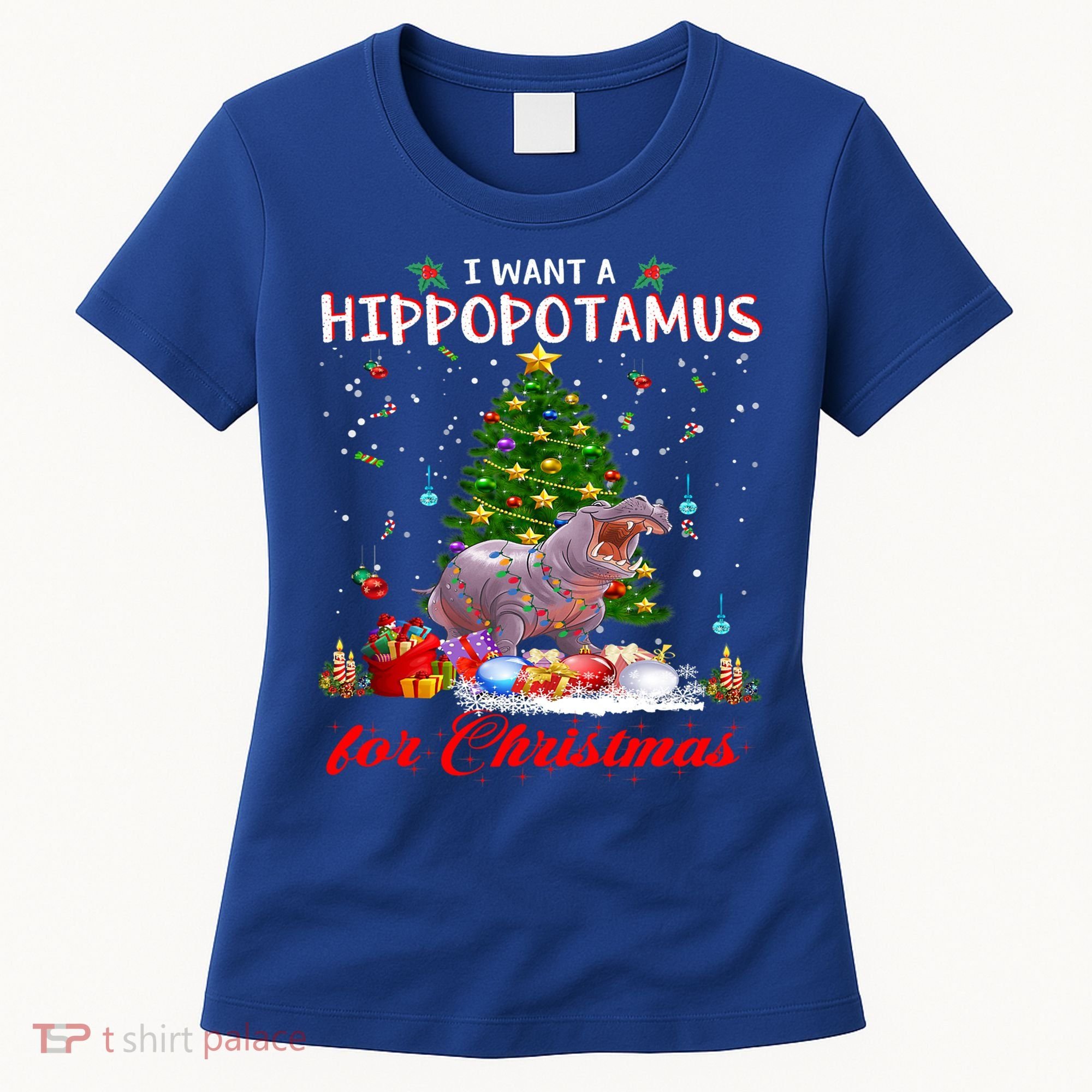 I Want A Hippopotamus For Christmas Xmas Hippo For Gift Women's T-Shirt