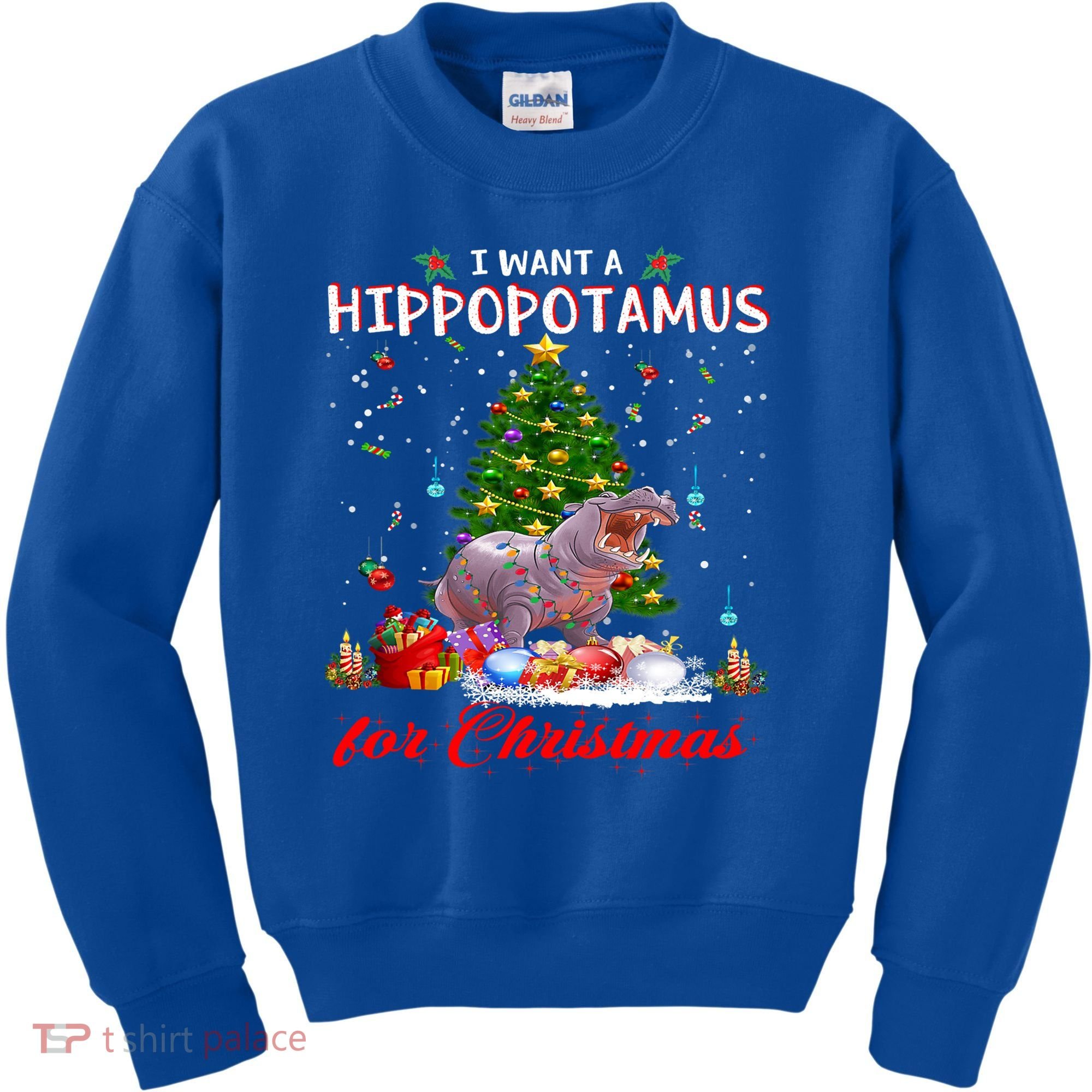 I Want A Hippopotamus For Christmas Xmas Hippo For Gift Kids Sweatshirt