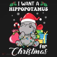 I Want A Hippopotamus For Christmas Hippo Christmas Pajamas Women's Hoodie thumb 2