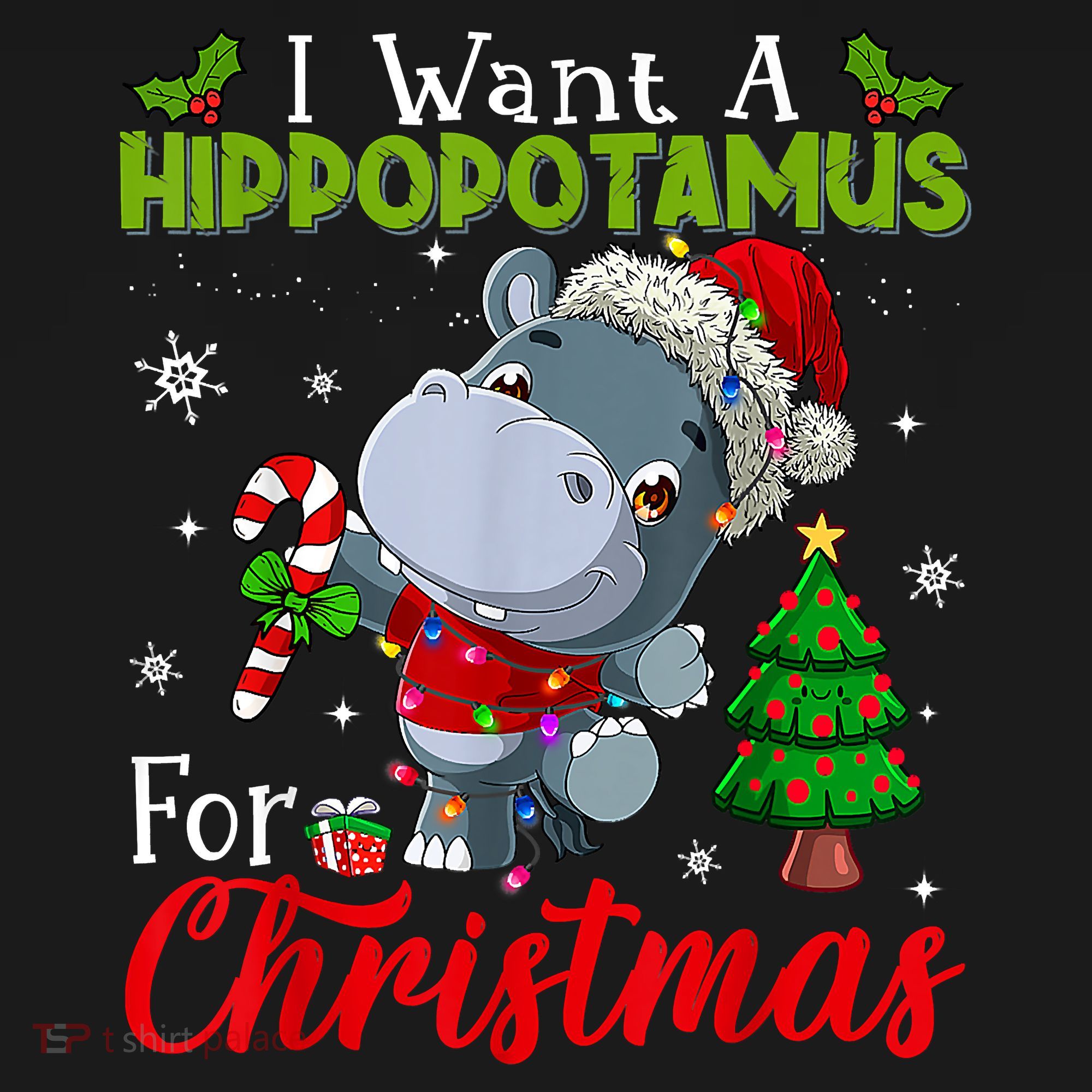 I Want A Hippopotamus For Christmas Xmas Pajama Hippo Lover Women's Hoodie