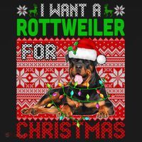 I Want A Rottweiler For Christmas Santa Dog Lover Owner Gift Women's Hoodie thumb 2