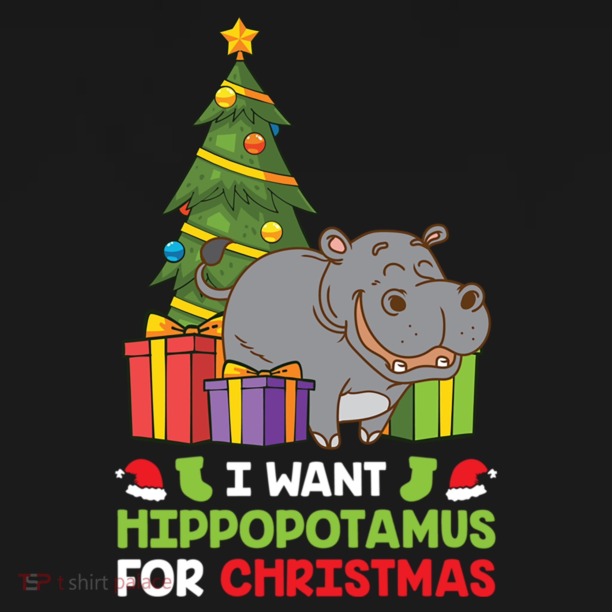 I Want A Hippopotamus For Christmas Xmas Hippo Funny Gift Women's Hoodie