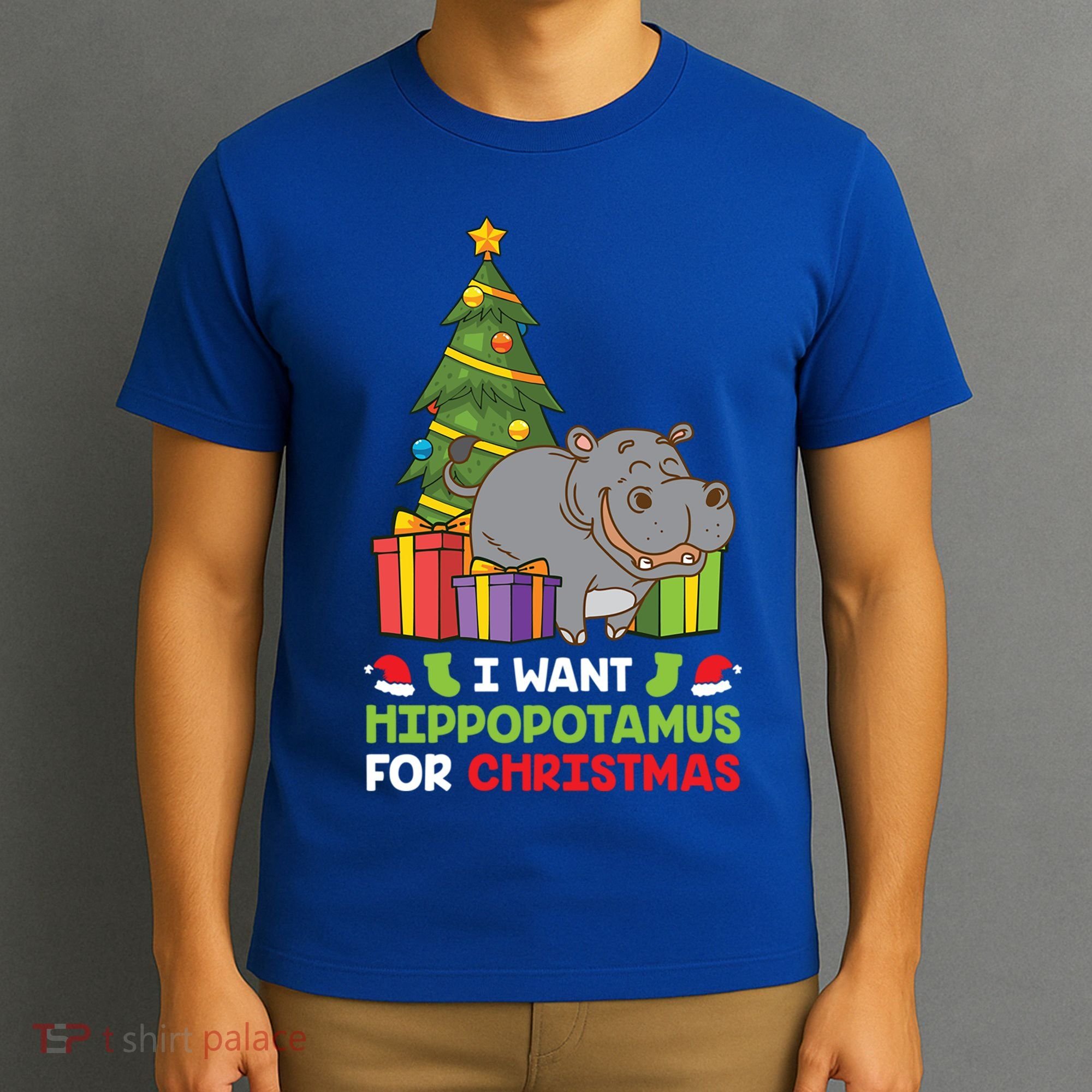 I Want A Hippopotamus For Christmas Xmas Hippo Funny Gift T-Shirt