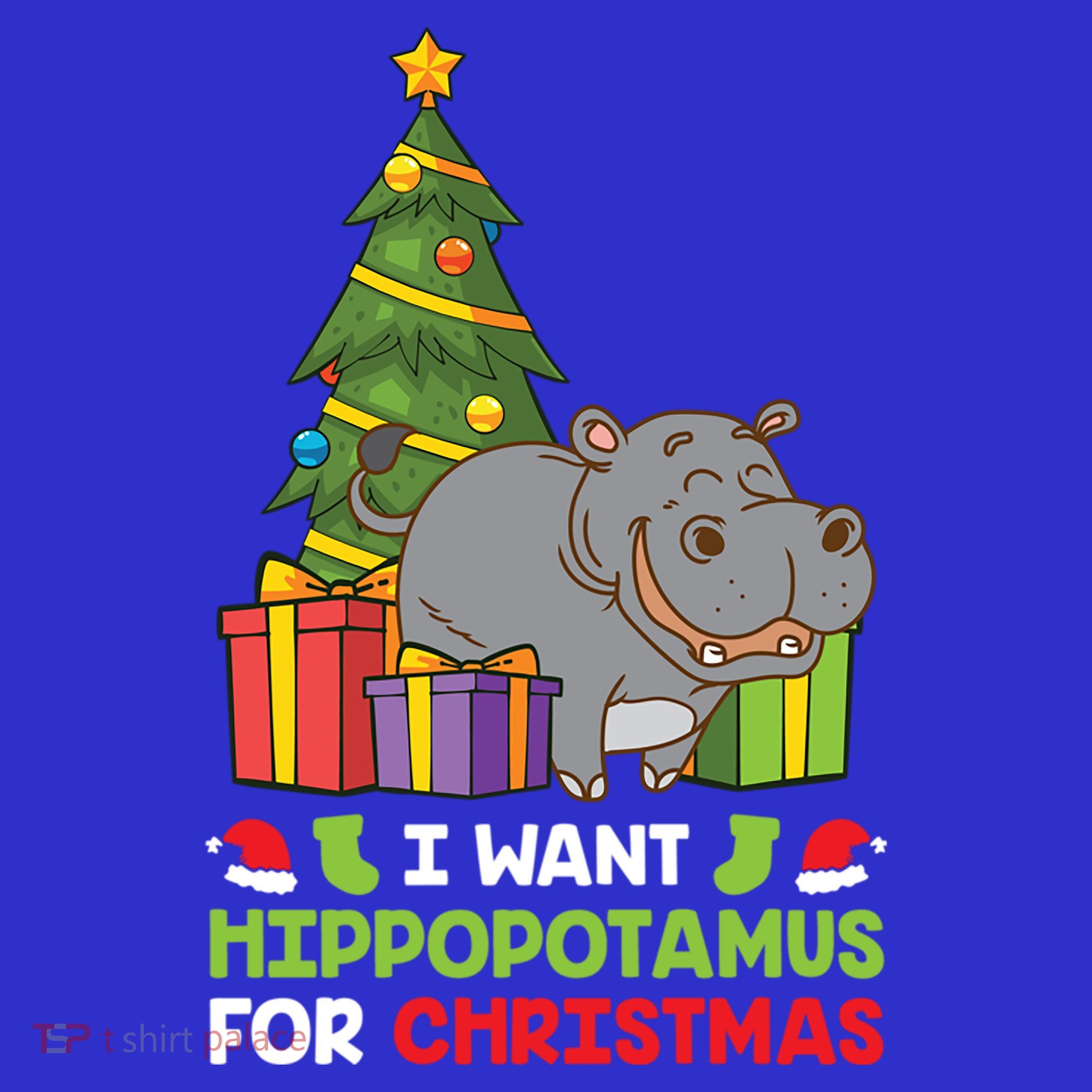 I Want A Hippopotamus For Christmas Xmas Hippo Funny Gift T-Shirt