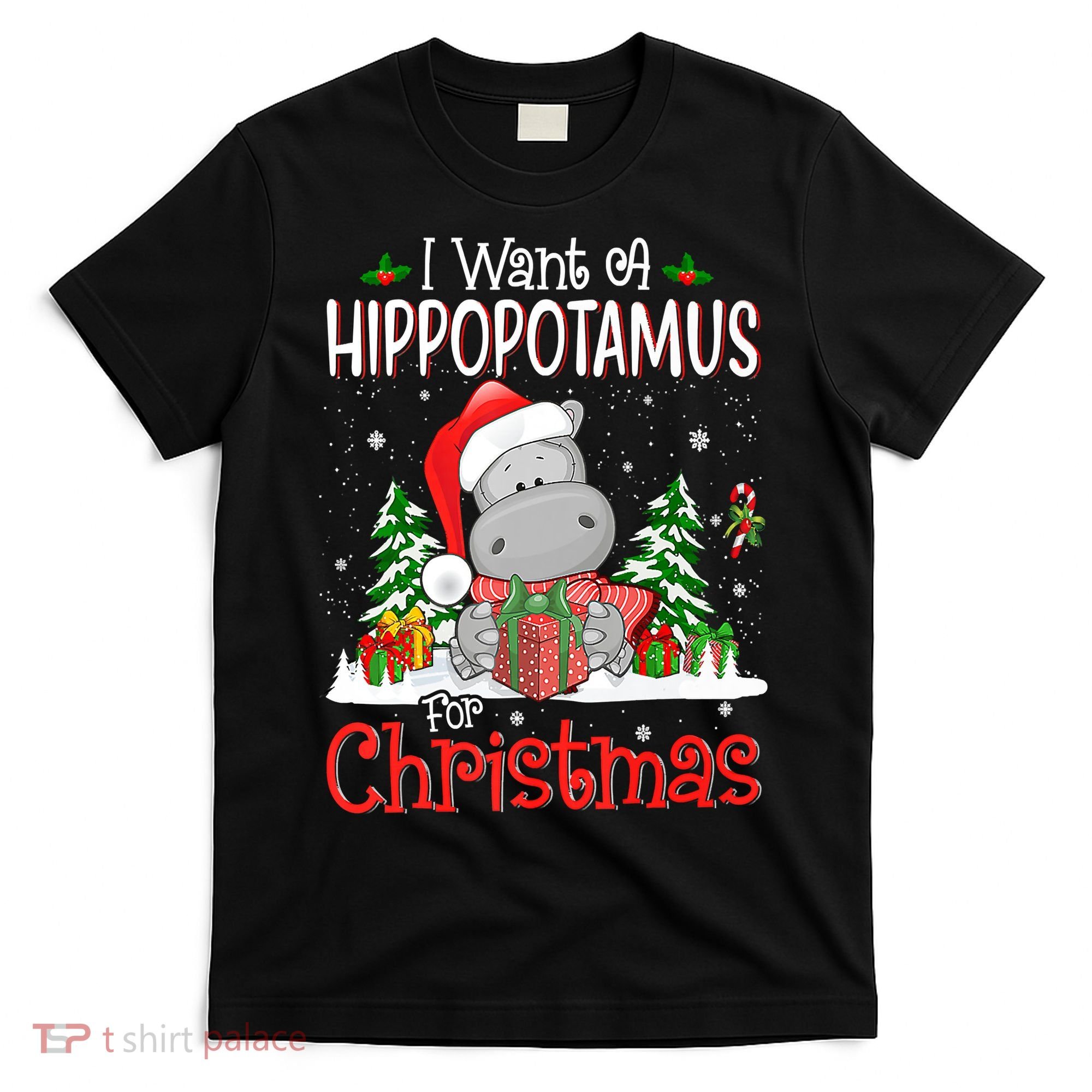 I Want A Hippopotamus For Christmas Xmas Hippo T-Shirt