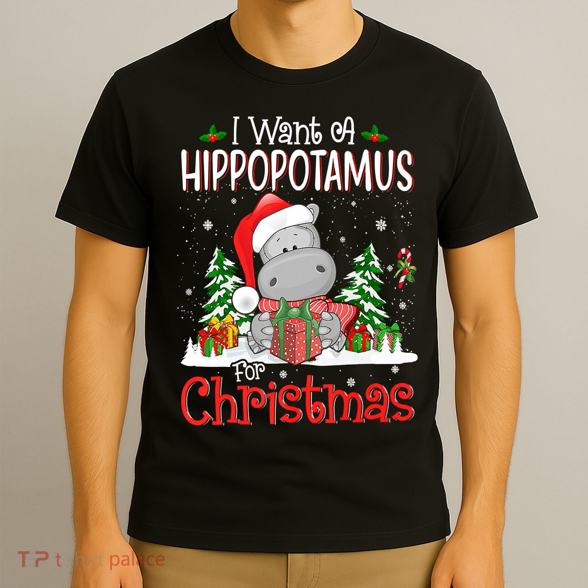 I Want A Hippopotamus For Christmas Xmas Hippo T-Shirt
