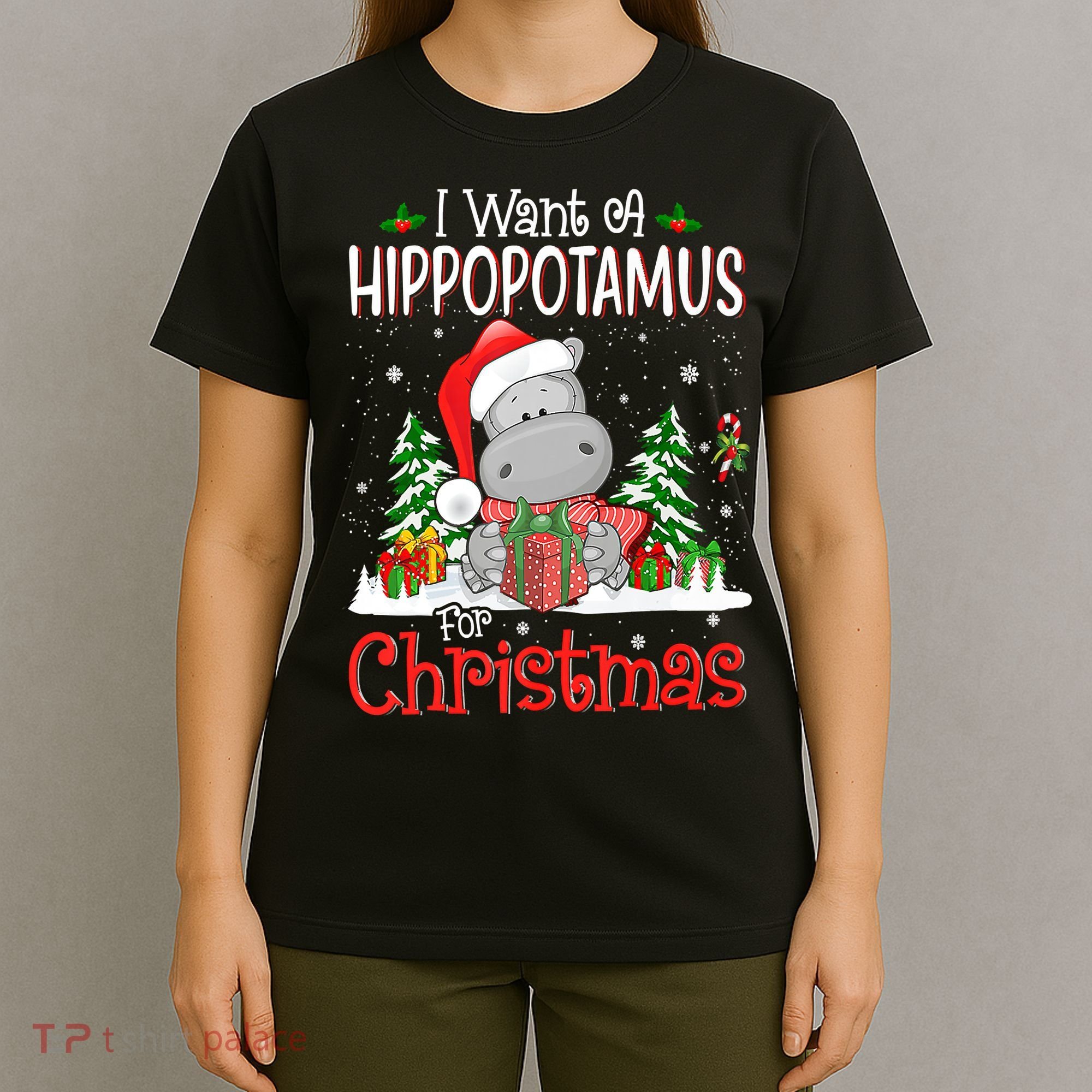 I Want A Hippopotamus For Christmas Xmas Hippo T-Shirt