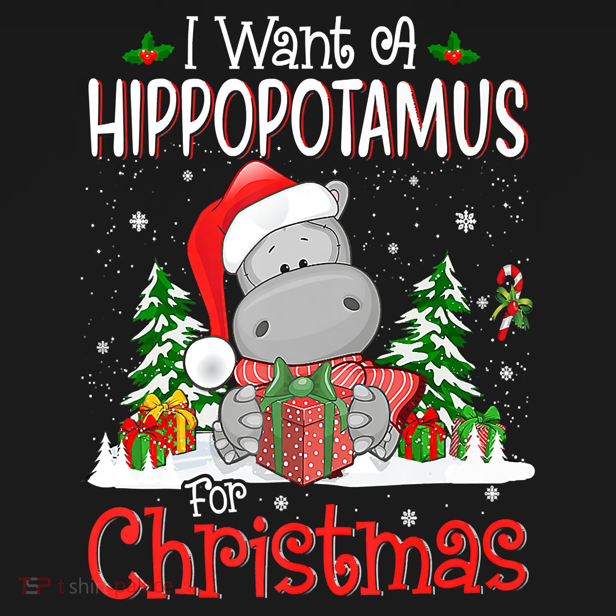 I Want A Hippopotamus For Christmas Xmas Hippo T-Shirt