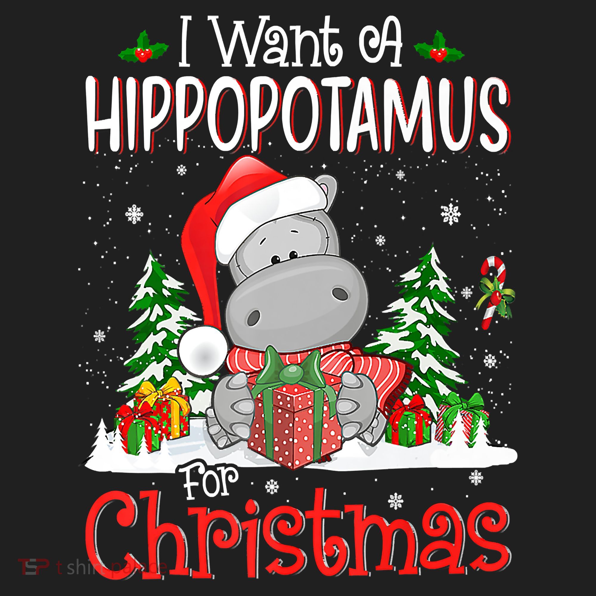 I Want A Hippopotamus For Christmas Xmas Hippo Hat