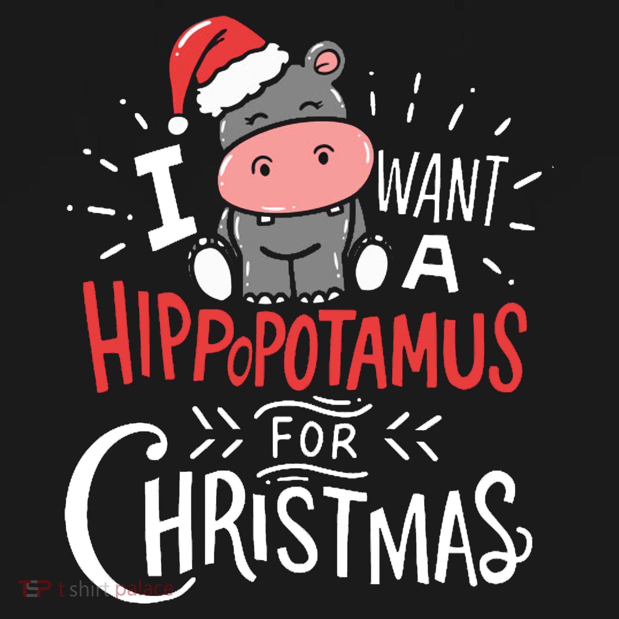 I Want A Hippopotamus For Christmas Funny Cute Sweatshirt