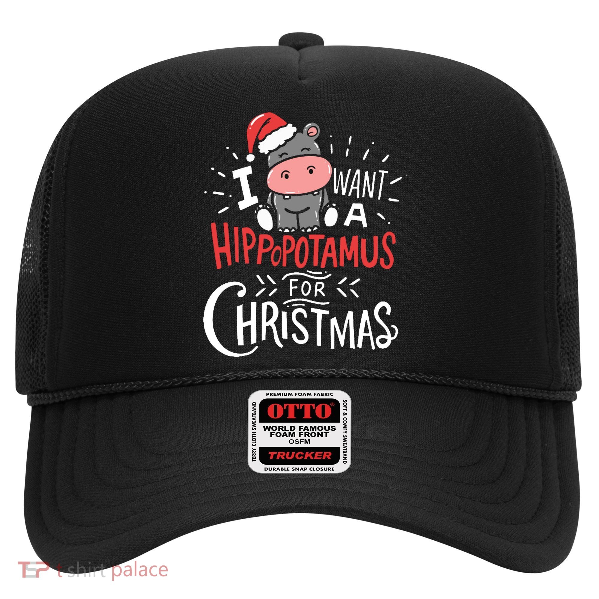 I Want A Hippopotamus For Christmas Funny Cute Hat