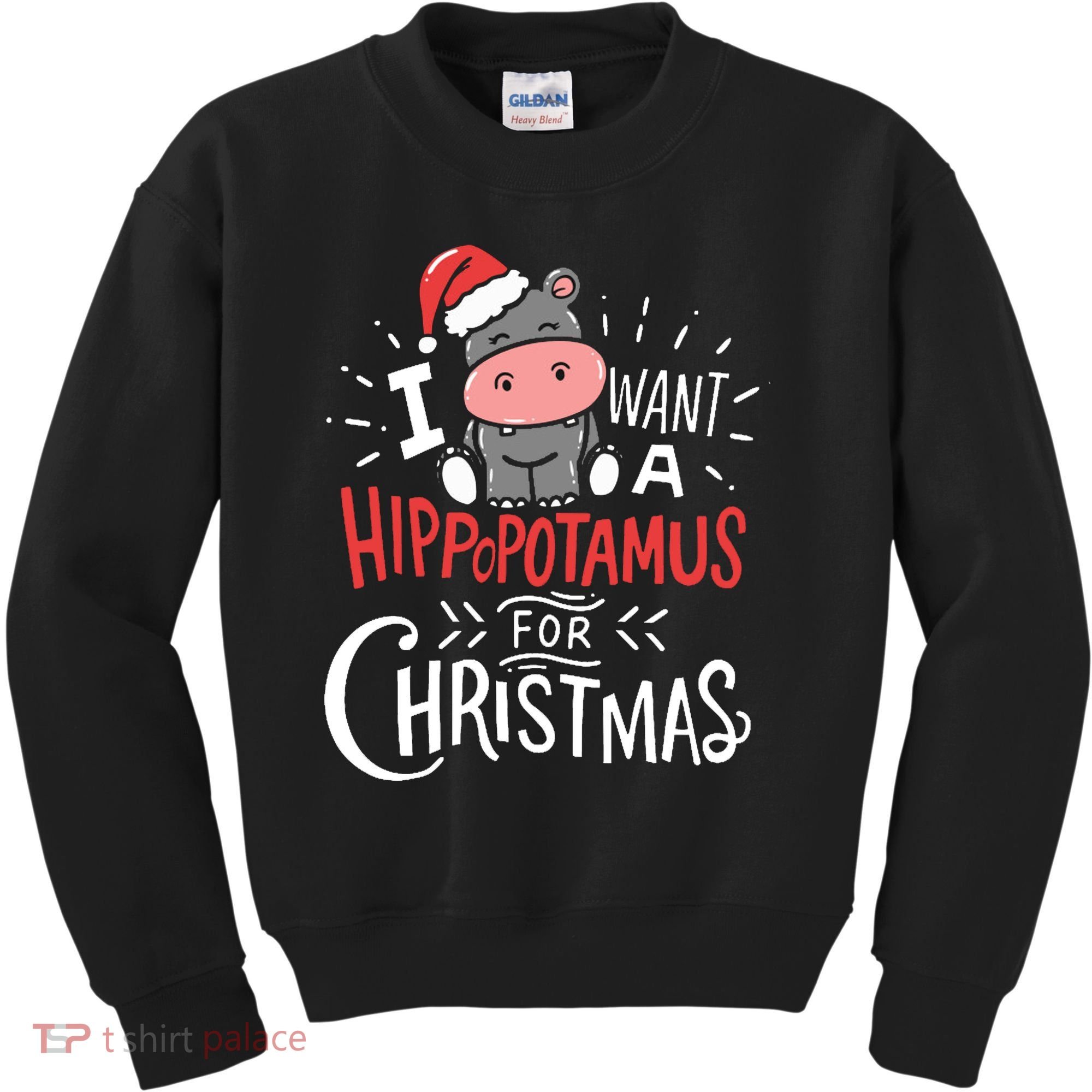 I Want A Hippopotamus For Christmas Funny Cute Kids Sweatshirt