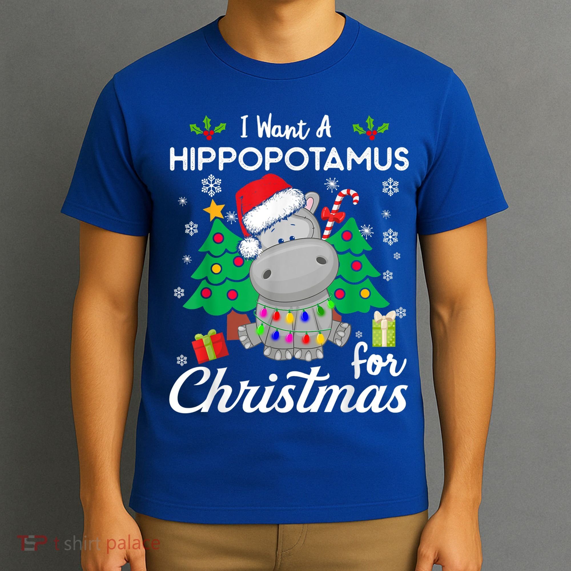 I Want A Hippopotamus For Christmas Xmas Costume Gift T-Shirt