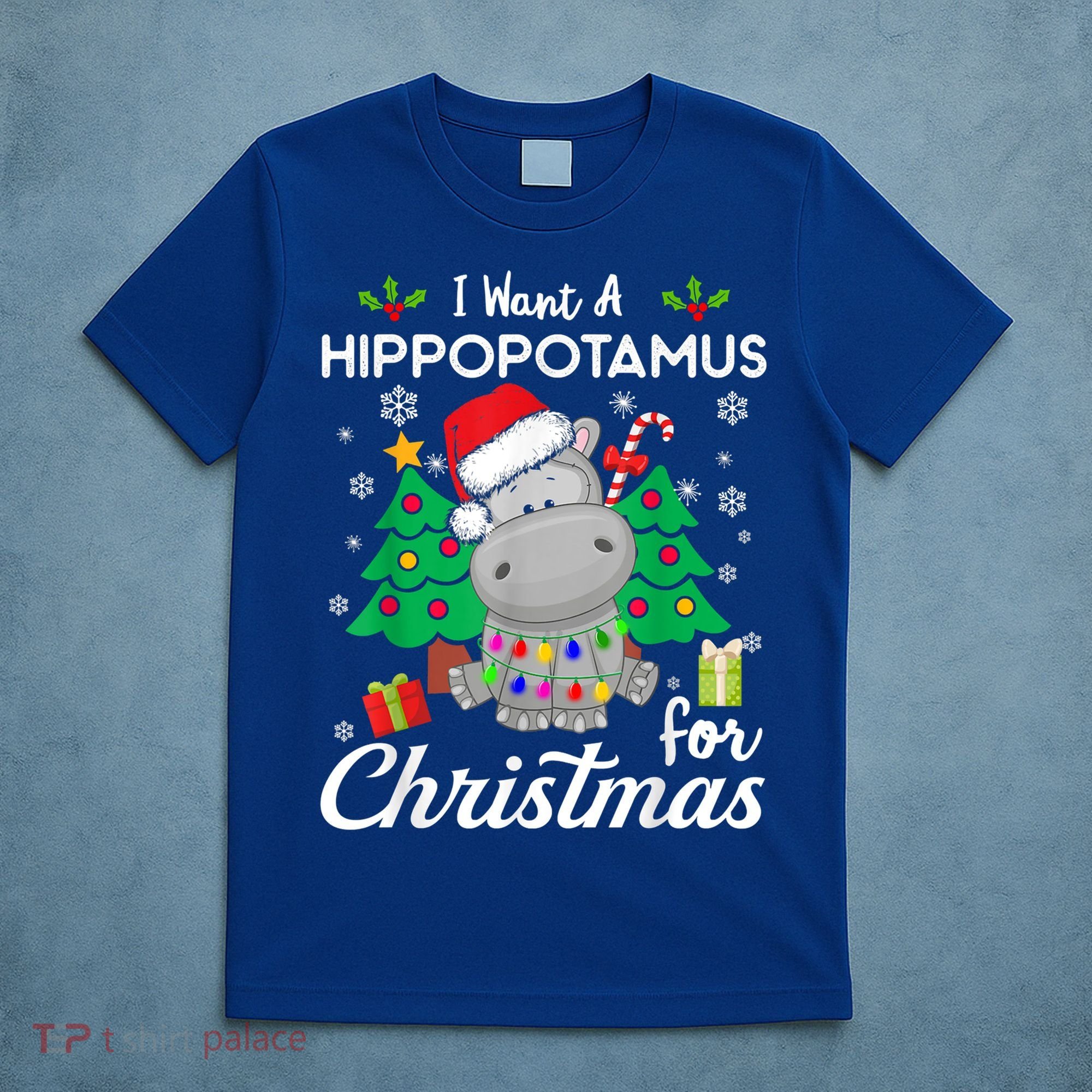 I Want A Hippopotamus For Christmas Xmas Costume Gift T-Shirt