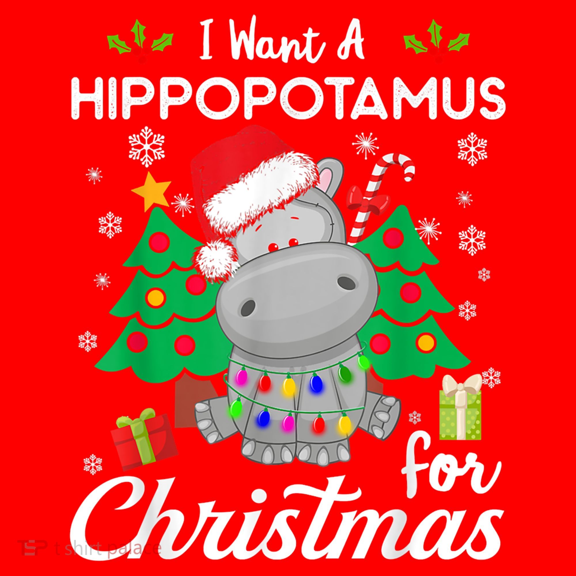 I Want A Hippopotamus For Christmas Xmas Costume Gift Santa Hat